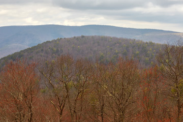 Wall Mural - Blue Ridge mountain scenery in the St. Mary's Wilderness near Waynesboro, Virginia 