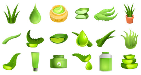 Poster - Aloe vera set. Cartoon illustration of aloe vera vector set isolated on white background