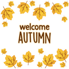 Wall Mural - Welcome autumn with maple leaves.