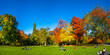 Herbst im Park, München, Englischer Garten, Deutschland 