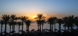 Fototapeta Zachód słońca - landscape dawn palm trees and a beach with umbrellas in Egypt in Sharm El Sheikh