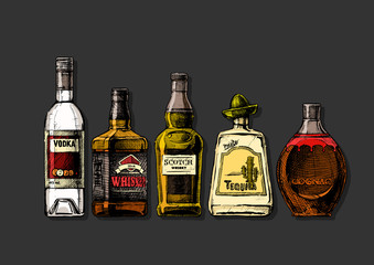 Poster - bottles of alcohol. Distilled beverage