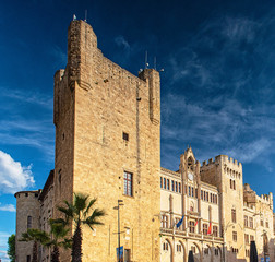 Wall Mural - Historic old town of Narbonne with the Town Hall 