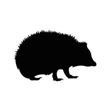 Hedgehog Silhouette Clipart Free Stock Photo - Public Domain Pictures