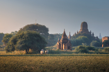 Wall Mural - Burmese Peasant Working in Field near Ancient Temples in the Morning, Bagan, Myanmar