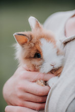 Woman Holding A Fluffy Bunny