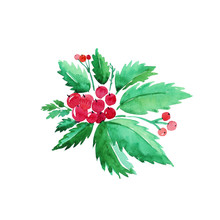 Christmas Branch Of Holly With Red Berries On White. Watercolor Illustration, Hand Drawn.