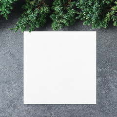 Empty white square poster or card mockup on dark gray textured background with border of fluffy green fir branches. Copy space for text, flat lay. Social network template.