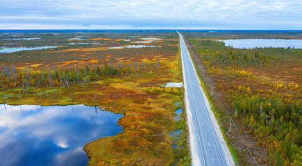 Wall Mural - Autumn landscape. West Siberian Plain. Aerial view. Road through endless forests and swamps in Western Siberia.