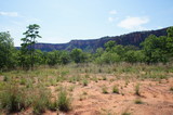 Fototapeta Sawanna - Landscape at Chapada dos Guimaraes, located in Brazil, the capital of Mato Grosso State. It is the geographic center of South America