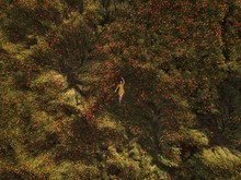 Aerial View Of Woman Lying On Grass
