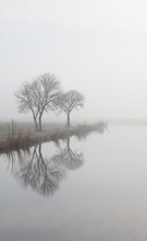 Scenic View Of Trees Reflecting In Misty River