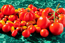 Various Tomatoes On Green Background
