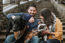 Adorable Family Sitting On Staircase With Dogs
