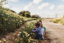 Little Children Playing In Flower Field With Blue Sky Behind Them