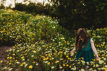 Little Girl Walking Through Field Of Flowers In Spring