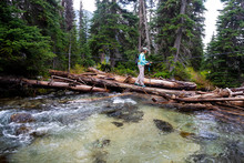 Mid Length View Of Women Hiking Across A River In British Columbia