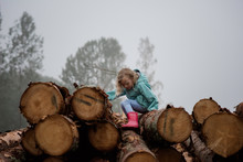 Young Girl Climbing A Pile Of Logs In The Forest