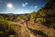 © Cavan Images - Woman riding a mountain bike outdoors on a sunny day