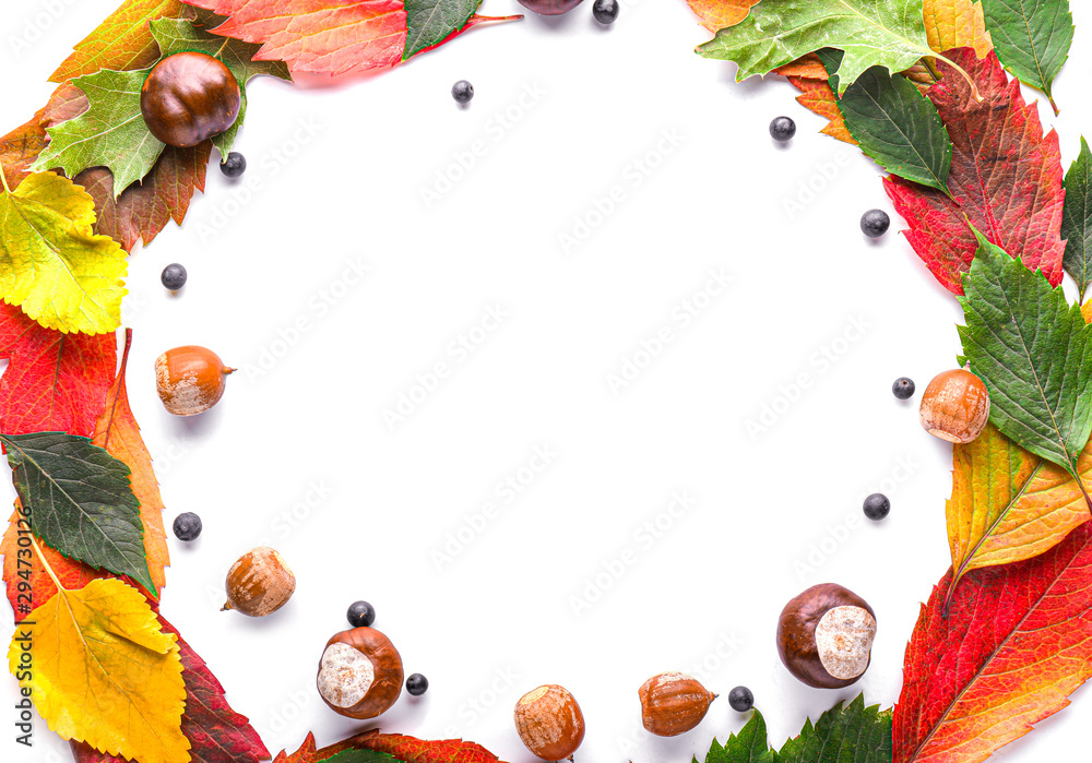 Frame made of beautiful autumn leaves on white background
