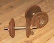 © yuliyagallimore - Rusty Weights workout equipment
