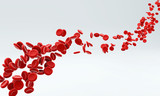 Fototapeta Maki - Red blood cells flowing through artery.
