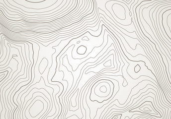 Leinwandbilder - Abstract topographic map background with height lines