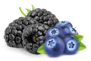 Colourful composition with heap of forest berries - blueberry and blackberry isolated on a white background with clipping path.