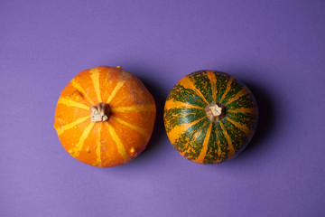 Two Small textured top view pumpkin on a purple background. Halloween decoration. Holiday Poster or Harvest. Copy space