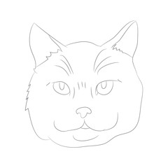 Wall Mural - vector illustration cat portrait, lines, vector