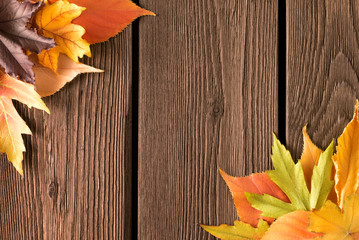 Flat lay autumn trendy designer composition of two bunches of multicolored yellow red green gold fallen leaves in opposite corners of the picture on rustic old abandoned brown boards with empty space