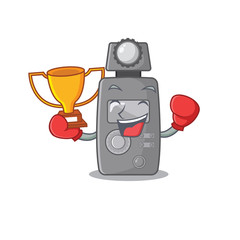 Sticker - Boxing winner light meter with in the character