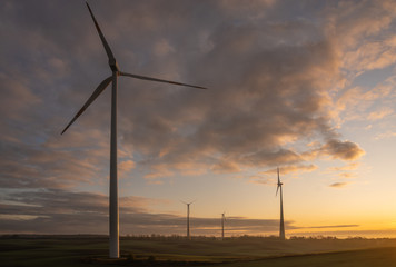 Wall Mural - windmills on a field in Germany during a beautiful multicolored sunrise