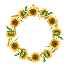 Watercolor Wreath With  Sunflowers And Wheat Ears Isolated On White Background. Watercolor Round Frame. Hand-drawn Clipart. Realistic Style.