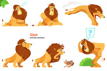 Lion. Set Of Cute Lion Character With Different Action Poses, Isolated On White Background