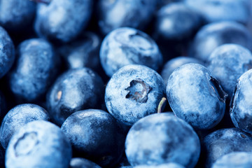 Poster - blueberries on white background