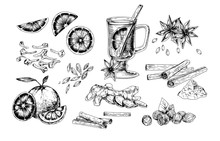 Mulled Wine And Spices Realistic Vector Illustrations Set. Flavoring Seeds And Herbs Hand Drawn Isolated Cliparts Pack. Winter Traditional Hot Drink Ingredients. Ginger Root, Oranges, Star Anise.