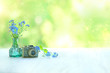 retro photo camera toy and blue flowers on abstract nature background. concept of memories,  nostalgia, inspiration. old camera and flowers on blurred green background. shallow depth. soft focus