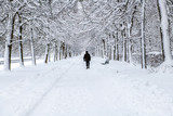 Fototapeta Miasto - a beautiufl winter in europe and a winter wonderfland 