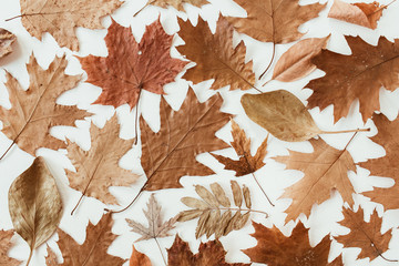 Wall Mural - Autumn, fall composition. Beautiful background of brown, orange, beige dried leaves. Creative autumn pattern. Flat lay, top view.