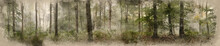 Digital Watercolor Painting Of Panorama Landscape Image Of Wendover Woods On Foggy Autumn Morning.