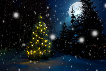 Wall Mural - Christmas tree with christmas lights outdoor in the moonlight