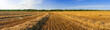 © Sergey - Panorama of wheat field against blue sky on summer day