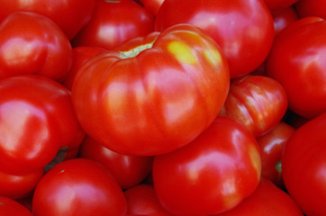 Wall Mural - Large ripe tomatoes closeup view