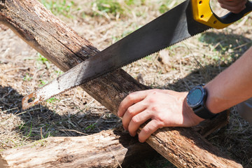 Wall Mural - Man saws a tree with a hand saw