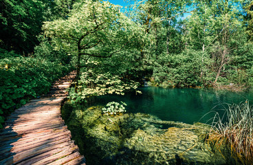 Canvas Print - Wonderful morning view of Plitvice National Park. Green summer scene of green forest with pure water lake. Splendid countryside landscape of Croatia, Europe. Beauty of nature concept background.