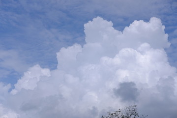 Wall Mural - clouds in the sky