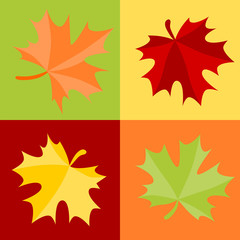 Wall Mural - Autumn leaves collection in square frame