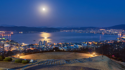 Wall Mural - 長野県・諏訪市 春の立石公園からの夜景