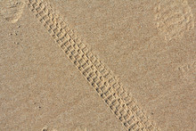 Bicycle Tracks On A Sand In Summer